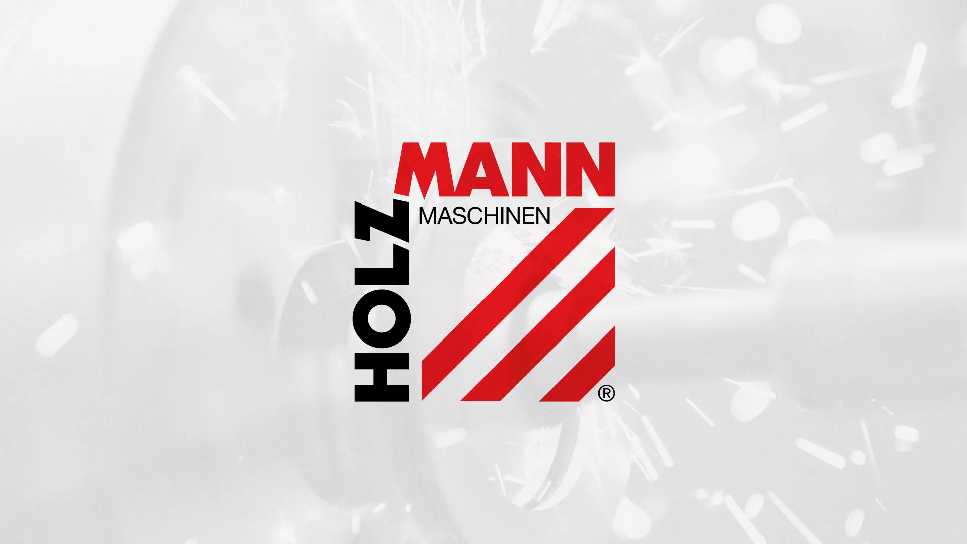 Создание сайта компании «HOLZMANN Maschinen GmbH» в Льгове